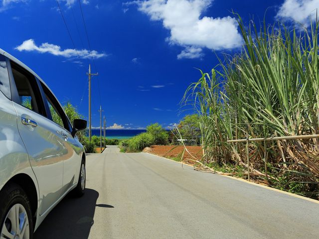 《沖縄本島》レンタカー無料キャンペーンイメージ