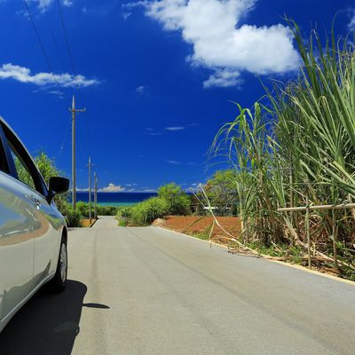 《沖縄本島》レンタカー無料キャンペーンイメージ