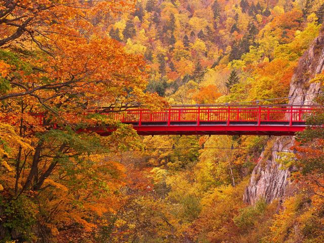《10月とにかく安く行きたい》北海道旅行フリープランイメージ