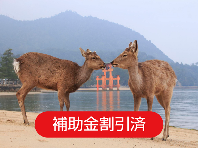 【広島】中四国周遊プランイメージ