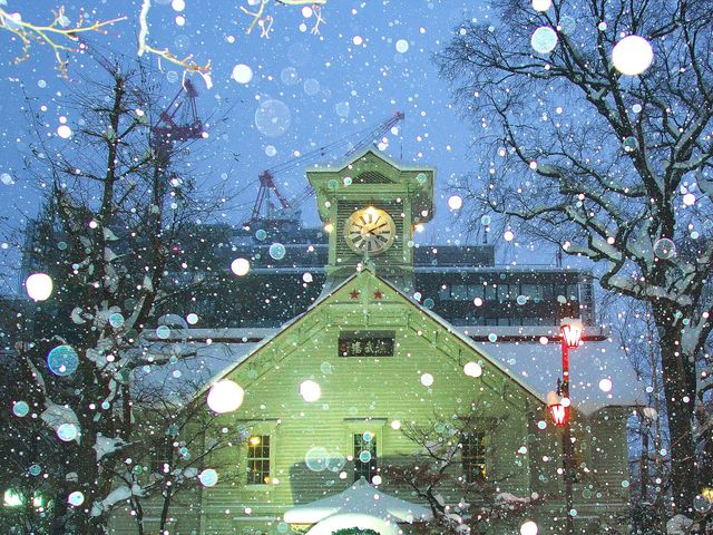 2月ファイナル!1泊ごとにホテル選択できる!北海道周遊フリープランイメージ