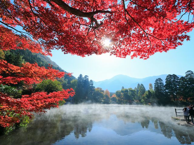 湯布院温泉おすすめ観光情報イメージ