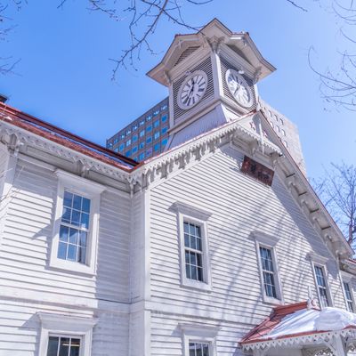 バレンタイン♡キャンペーン北海道旅行イメージ