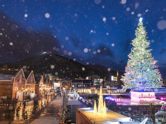 海の上に浮かぶ煌めくツリー☆はこだてクリスマスファンタジーイメージ