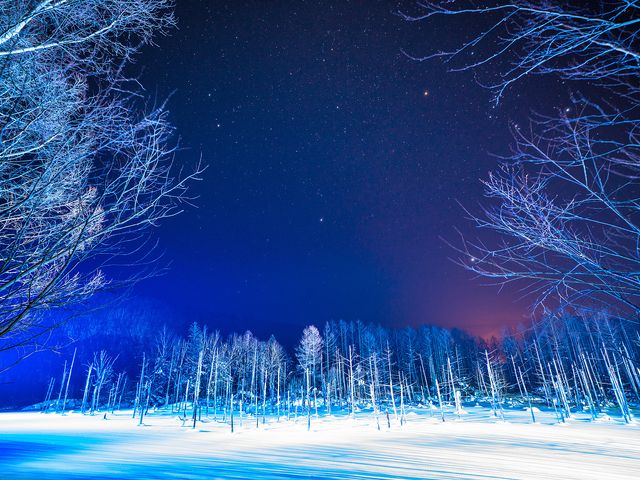 冬の青い池 白ひげの滝 絶景をめぐる欲張りツアー 東京発 北海道旅行 北海道ツアーなら格安旅行のj Trip