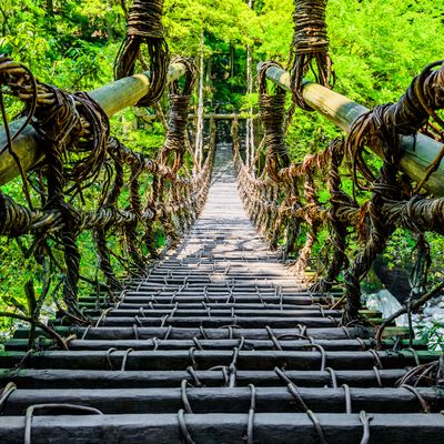 徳島フリープランイメージ