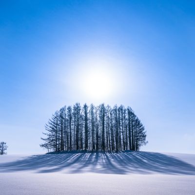 「道央エリア」フリープランイメージ