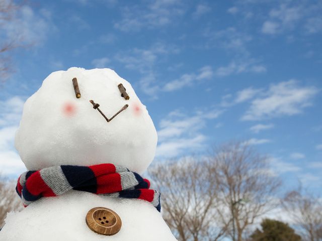 早期予約はこのプランで決まり!ホテルが自由に選べる北海道フリープランイメージ