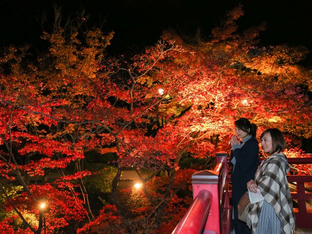 東北周遊フリープランイメージ
