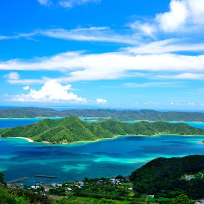 春休みにおすすめの屋久島ツアー・奄美大島ツアーイメージ