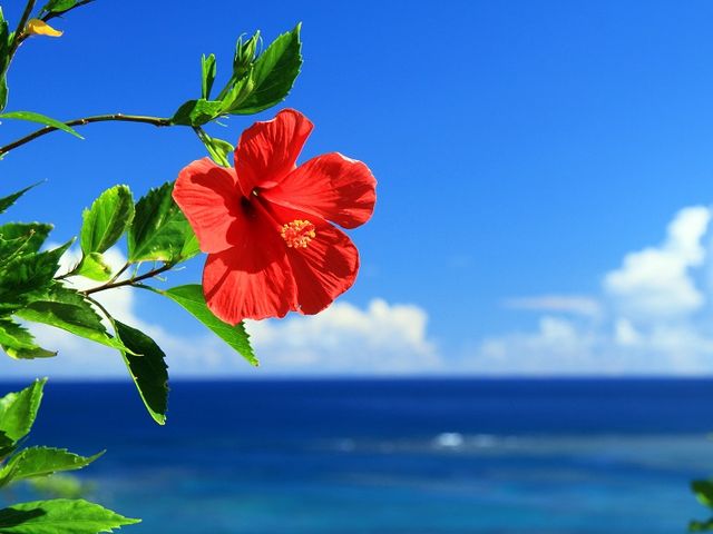 やっぱり冬のゴルフは沖縄イメージ