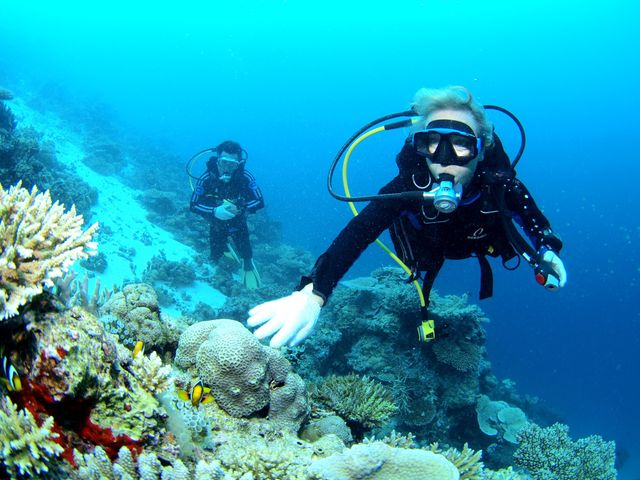 eラーニングでオープンウォーター取得イメージ