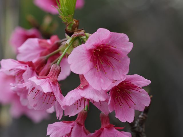 費用が抑えられる冬こそ楽しみたい -その2-イメージ