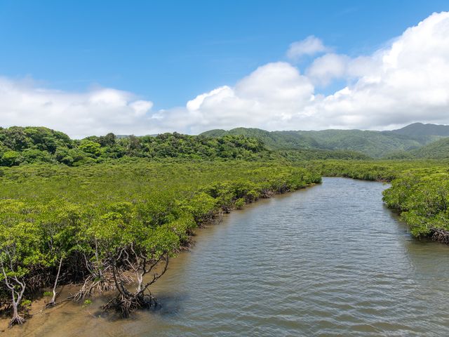 西表島イメージ