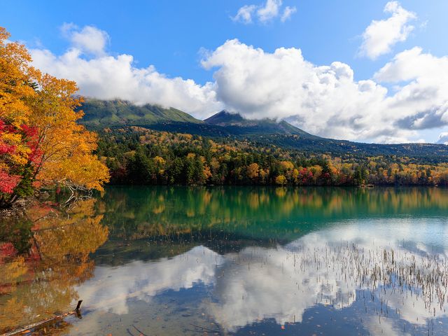 11月出発限定!北海道周遊旅行!イメージ