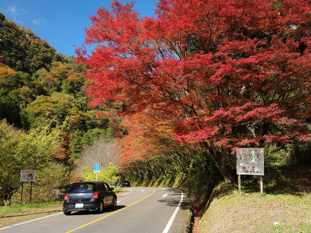 青森・秋田・山形をレンタカーで巡る東北旅行イメージ
