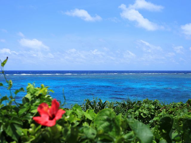 久米島フリープランイメージ