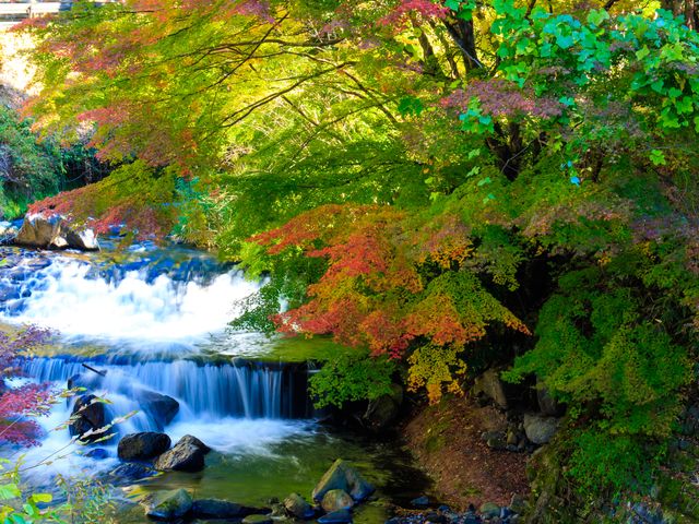 黒川温泉の特徴イメージ