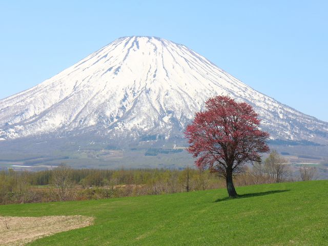 4月出発限定!北海道周遊旅行!イメージ
