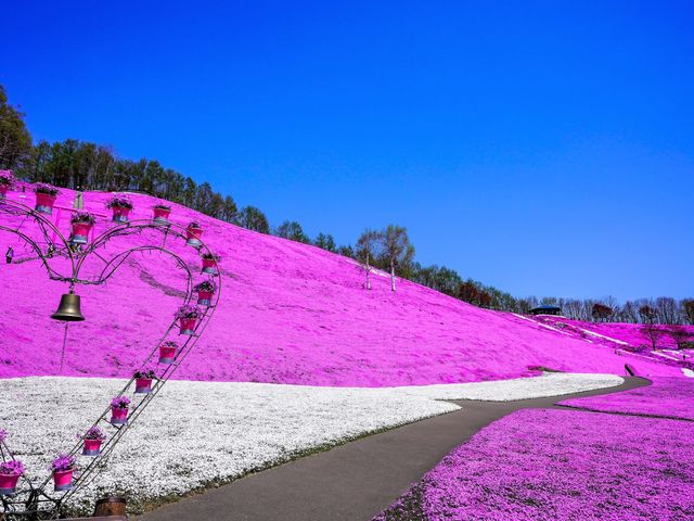 組合せ自由!北海道周遊フリープランイメージ