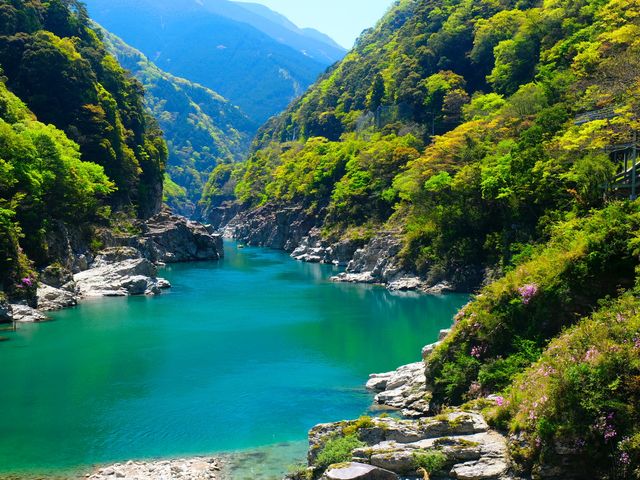 旅で応援！徳島ツアー｜レンタカー付イメージ