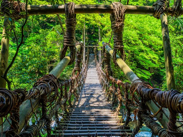 徳島フリープランイメージ