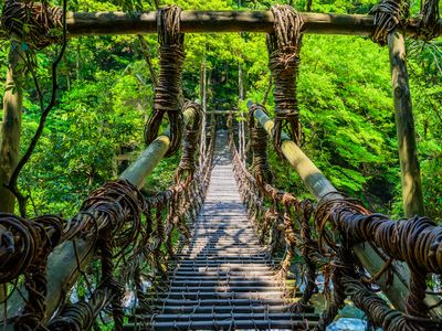 奥祖谷二重かずら橋