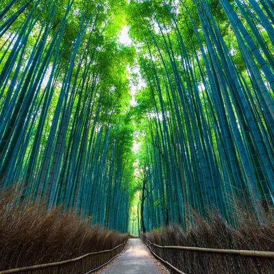 京都府|聖地巡礼旅行イメージ
