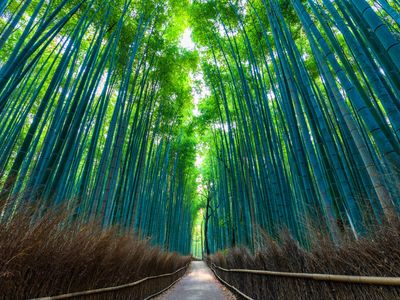 京都府｜聖地巡礼旅行イメージ