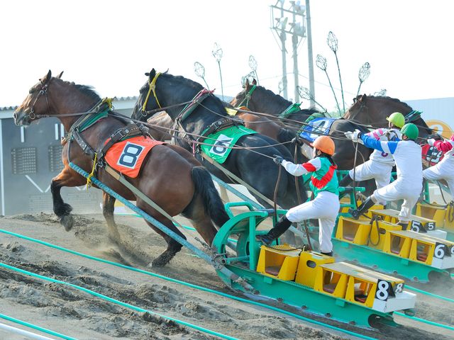 ばんえい競馬イメージ
