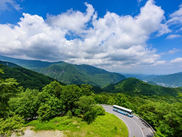 旭山動物園も行ける♪日帰り観光バス付プランイメージ