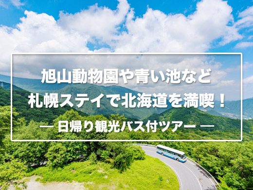 五感で楽しむ 人気の日帰り観光バス付ツアー 福岡発 北海道旅行 北海道ツアーなら格安旅行のj Trip