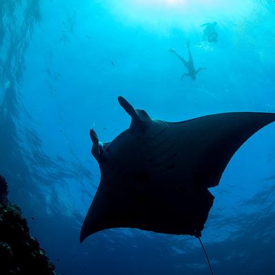 石垣島のホテルから選べるイメージ