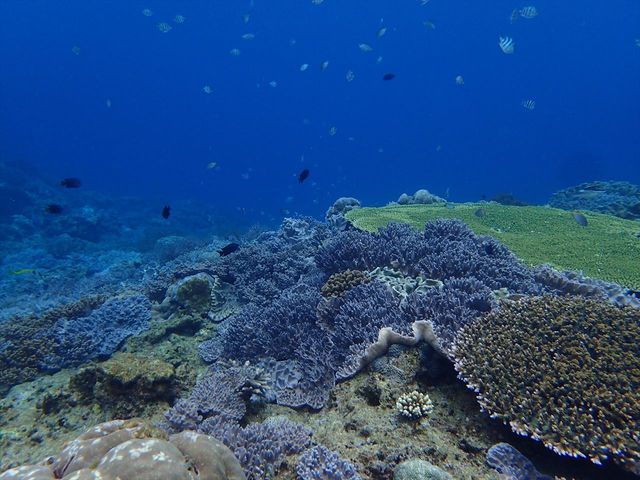 全国11店舗を展開イメージ