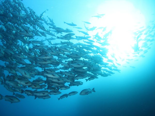 【久米島】イマズニイメージ