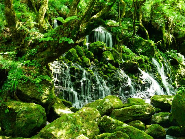 東北1泊2日旅行イメージ