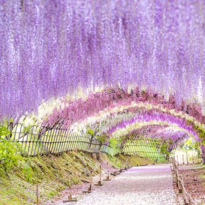 GWにおすすめの九州ツアーイメージ