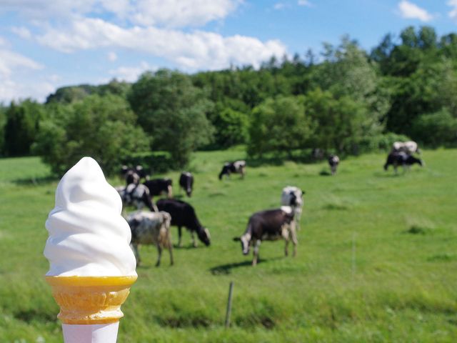 ホテル⇔ゴルフ場の移動距離が短いイメージ