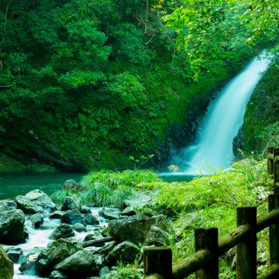 とにかく安くいきたい！6月 屋久島ツアー・奄美大島ツアーイメージ