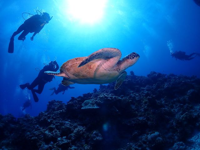 ダイビングサプライヤースマイルイメージ