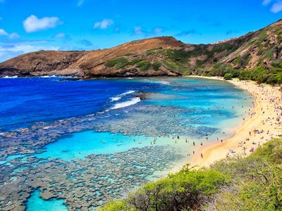 ハナウマ湾シュノーケルとカイルアタウン(シュノーケル・ミニおにぎり弁当付)