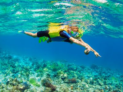 ハナウマ湾シュノーケル デラックスプラン