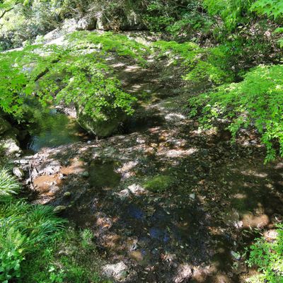 とにかく安くいきたい！5月 中国・四国ツアーイメージ