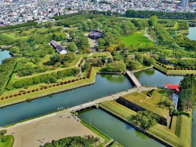 函館イチオシコースイメージ