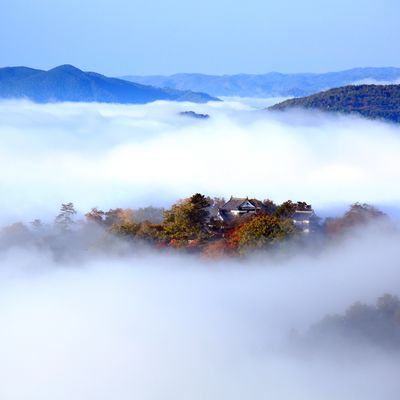 岡山フリープランイメージ
