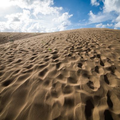鳥取フリープランイメージ