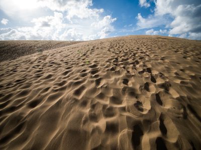 鳥取ツアー・鳥取旅行