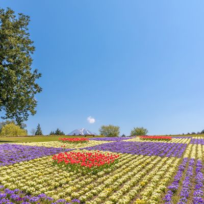 鳥取県内ホテルイメージ