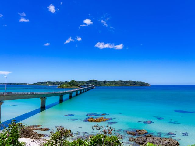 飛行機・ホテルが選べるイメージ