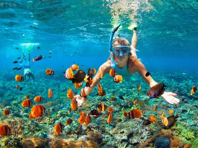 ハナウマ湾シュノーケル 現地集合プラン